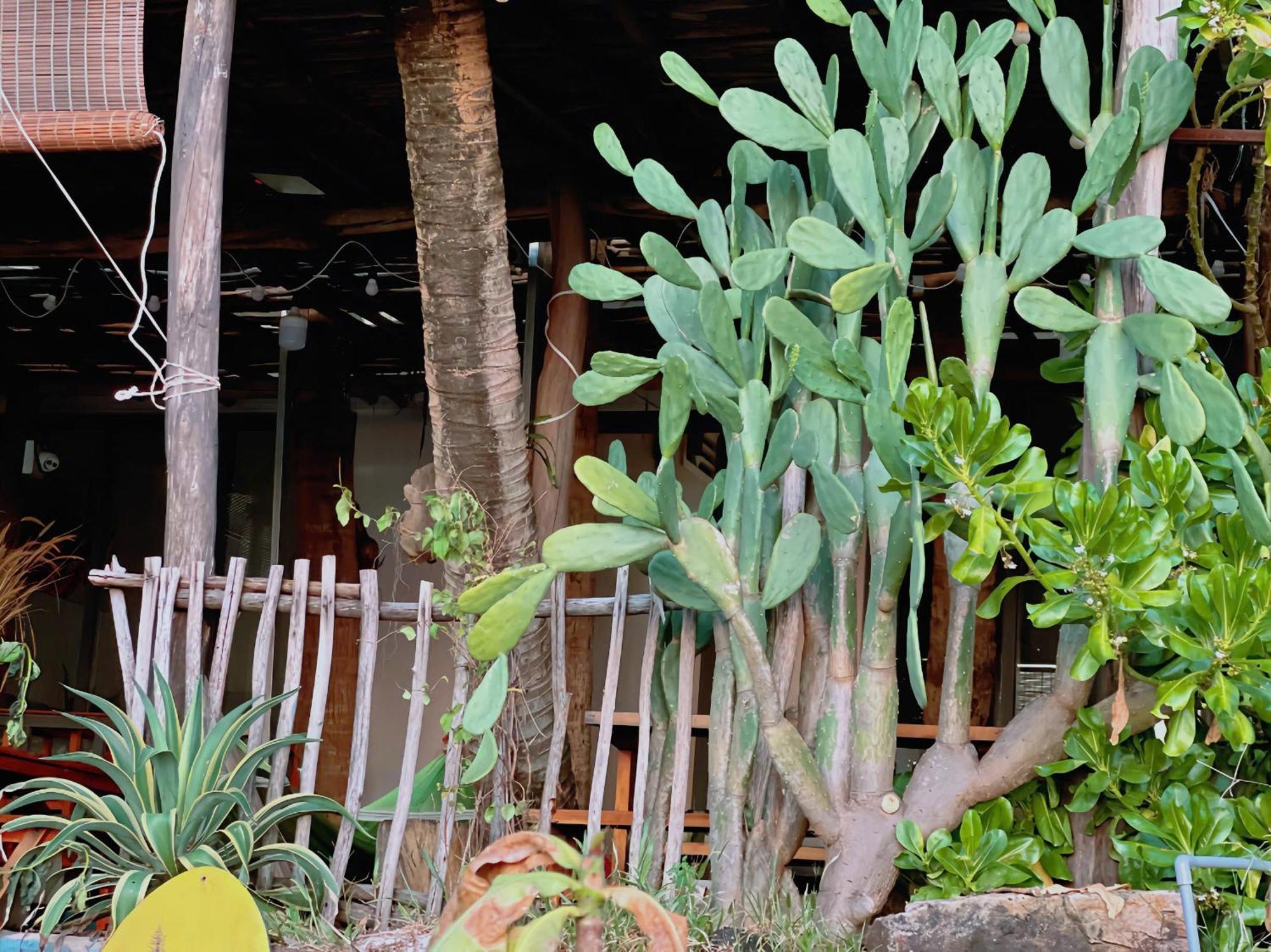 Appartamento Soho 1 Phu Quoc Esterno foto